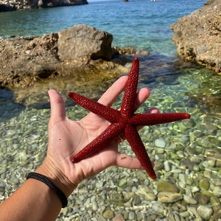 Appartamento Barone Castellammare del Golfo Eksteriør billede