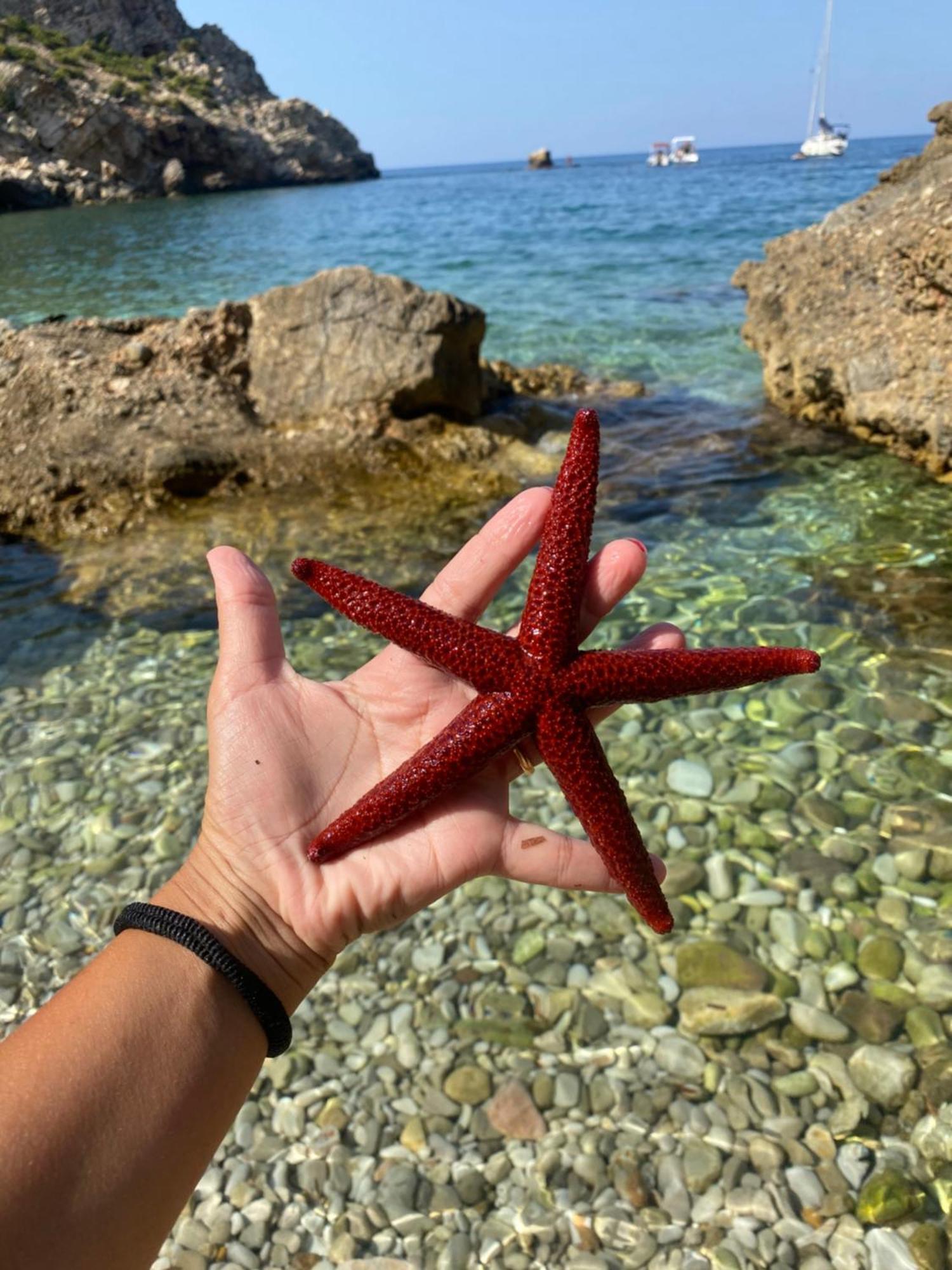 Appartamento Barone Castellammare del Golfo Eksteriør billede